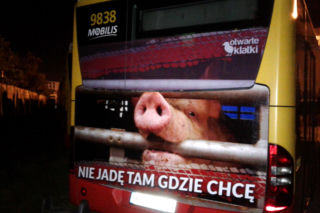 W takich warunkach transportowane są zwierzęta! Poruszająca kampania informacyjna na warszawskich autobusach