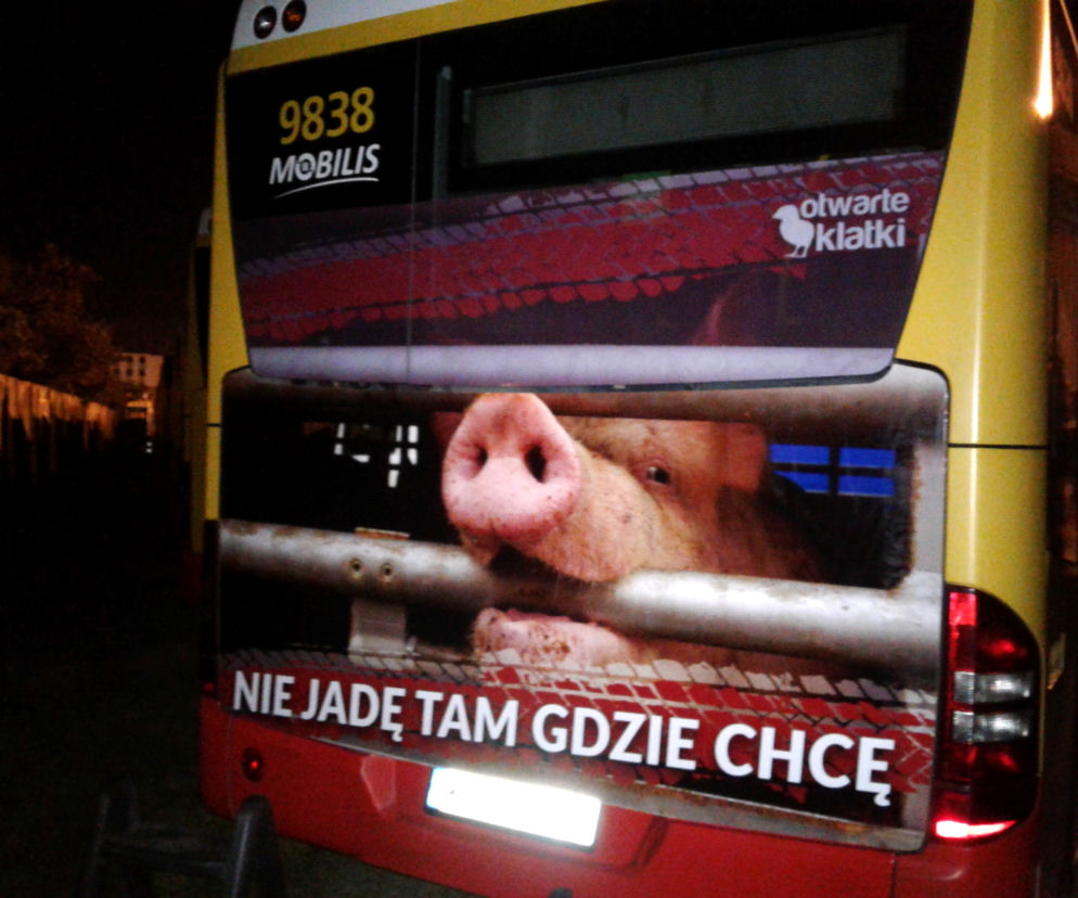 W takich warunkach transportowane są zwierzęta! Kampania na warszawskich autobusach
