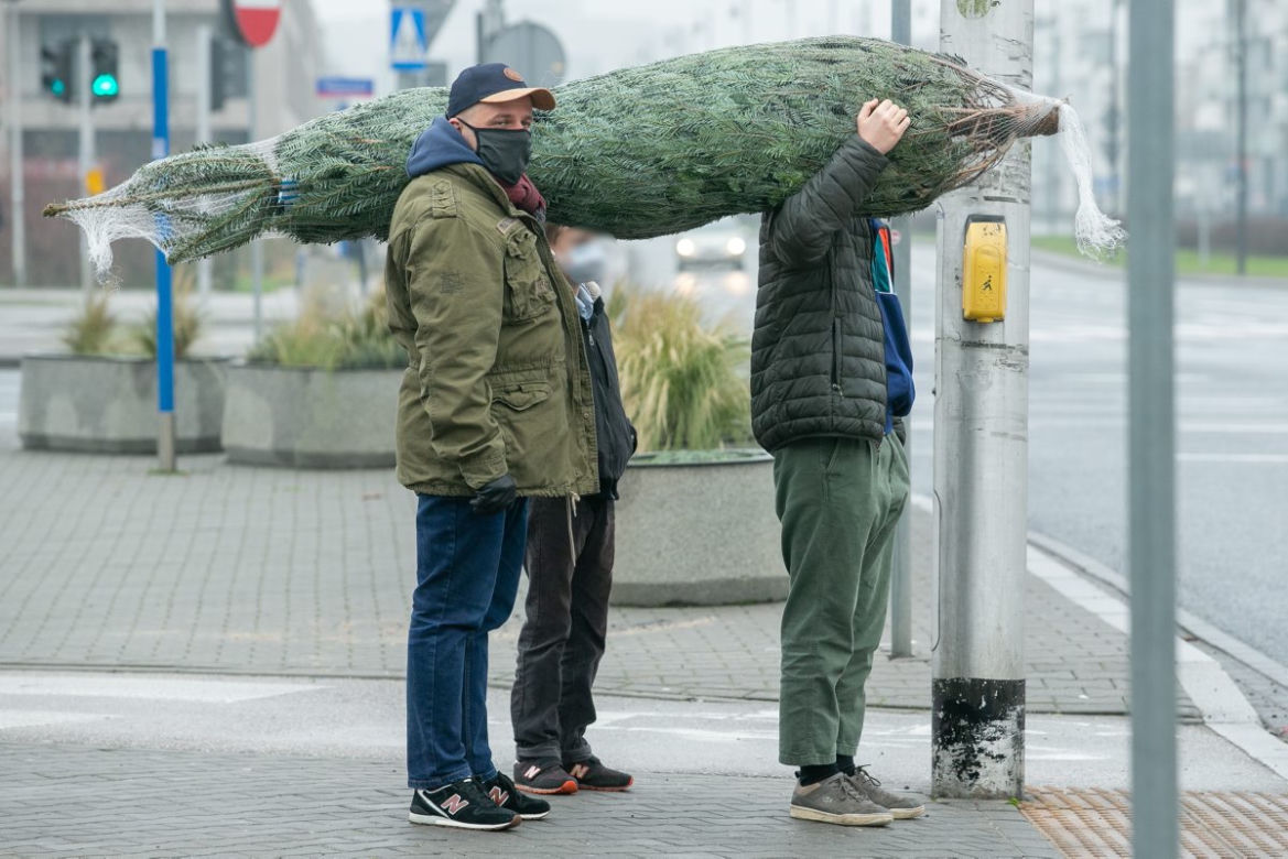 Paweł Kowal. Pojedynek na choinki