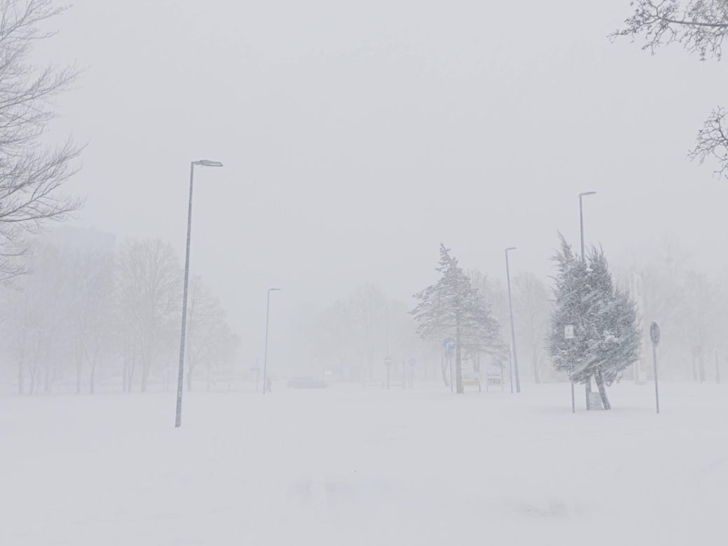 Atak zimy na wybrzeżu. Burze śnieżne, zasypane drogi i alerty IMGW