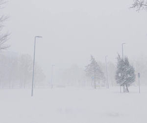 Atak zimy na wybrzeżu. Burze śnieżne, zasypane drogi i alerty IMGW