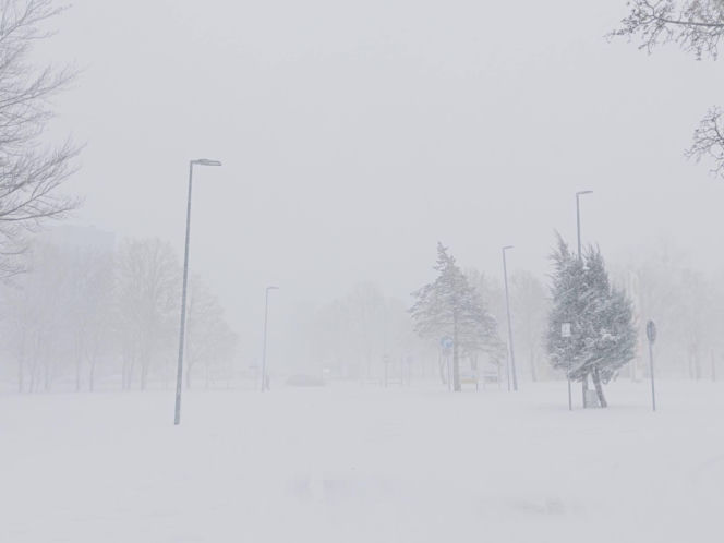 Atak zimy na wybrzeżu. Burze śnieżne, zasypane drogi i alerty IMGW