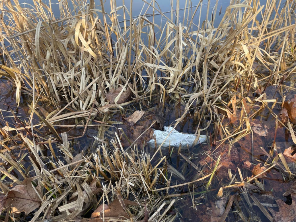 Siedleccy wędkarze chcą posprzątać okolice zalewu. Pomożecie?
