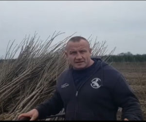 Mariusz Pudzianowski pracuje na polu