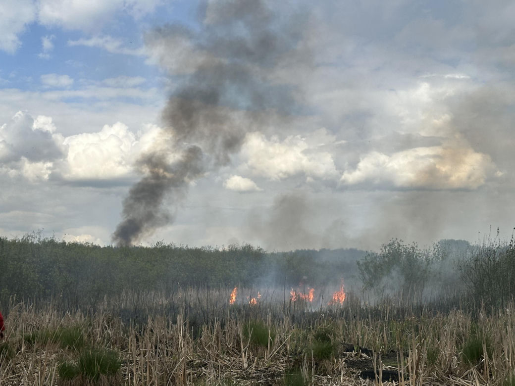 Wołomin: Płonie Natura 2000. Dym widać z wielu kilometrów