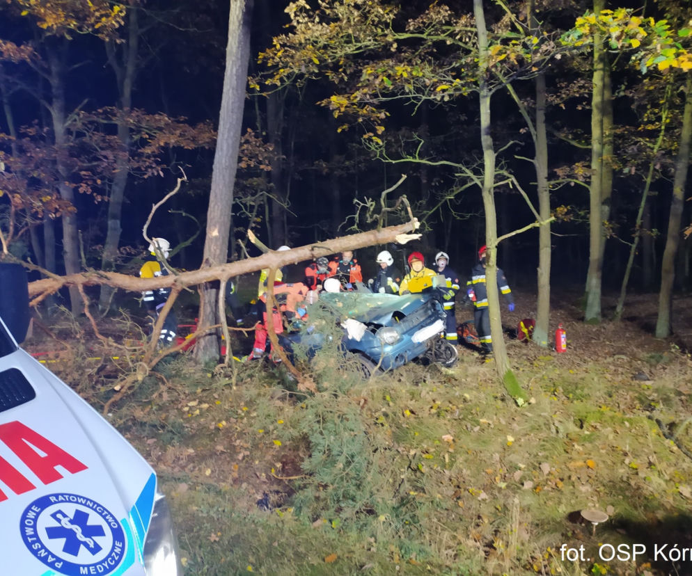ŚMIERĆ dwóch 18-latków! Nocny dramat na drodze pod Poznaniem