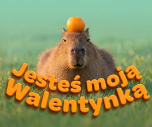 Kartki walentynkowe. Bądź moją Walentynką i kochaj mnie