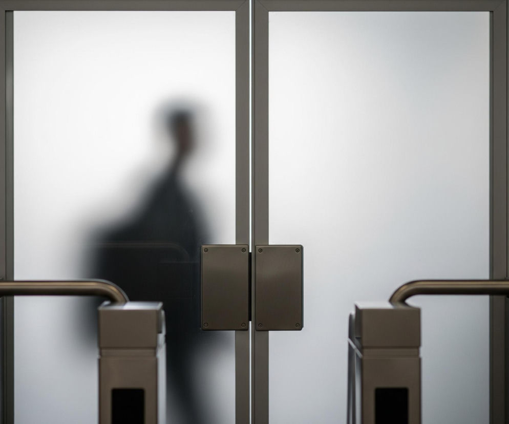 Dwie pionowe tafle matowego szkła, rozdzielone ciemną pionową ramą, dominują centralną część obrazu. Na środku ramki, na wysokości klatki piersiowej, znajdują się dwa prostokątne, ciemne panele, przymocowane za pomocą czterech srebrnych śrub każdy. Zza lewej tafli szkła widać niewyraźną, ciemną sylwetkę osoby z plecakiem, zwróconą w prawo. Na pierwszym planie, w dolnej części obrazu, po lewej i prawej stronie, znajdują się dwa podobne do siebie słupki kontroli dostępu z poziomymi ramionami ze stali nierdzewnej.
