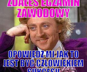 Egzamin zawodowy 2020: MEMY o egzaminie potwierdzającym kwalifikacje zawodowe [ZDJĘCIA]