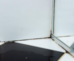 Jak poprawnie usunąć starą fugę i silikon oraz nałożyć nowy? Murator Remontuje