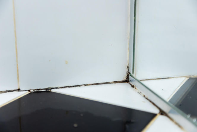 Jak poprawnie usunąć starą fugę i silikon oraz nałożyć nowy? Murator Remontuje