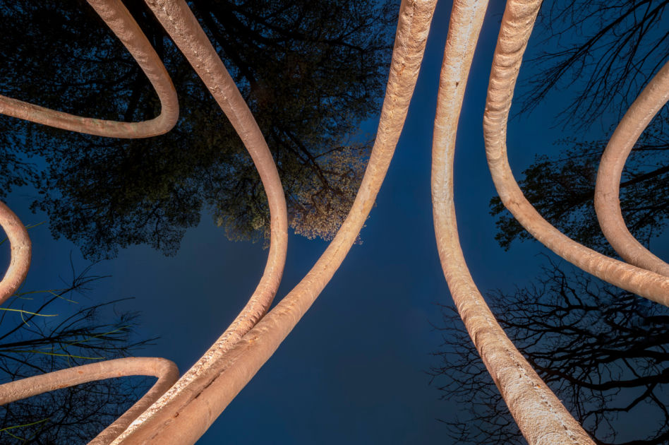 Circular Garden
