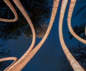 Circular Garden