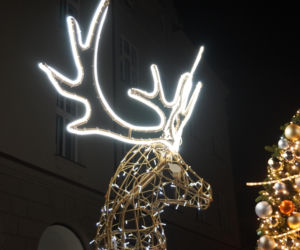 Świąteczne iluminacje rozświetliły Rzeszów