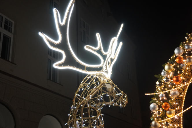 Świąteczne iluminacje rozświetliły Rzeszów