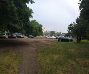 Wzdłuż parkingu Centrum Handlowego Arena wyrosną drzewa