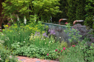 Zakończyła się ocena formalna projektów z Zielonego Budżetu. 8 zostało odrzuconych