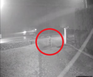 Koszmar pod Krakowem. Ranna 85-latka błagała o pomoc, samochody mijały ją obojętnie