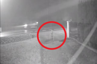 Koszmar pod Krakowem. Ranna 85-latka błagała o pomoc, samochody mijały ją obojętnie