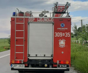 Bus zderzył z się osobówką. Jedna osoba trafiła do szpitala