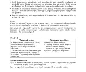 Matura 2019 z biologii [ARKUSZE CKE, ODPOWIEDZI]