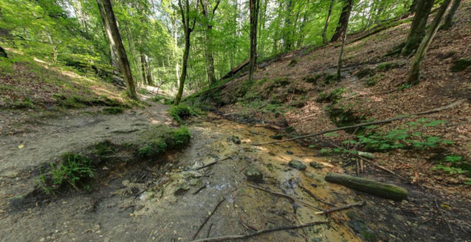 To najbardziej niedoceniona wieś w województwie śląskim. Jest tam szlak cudownych źródeł