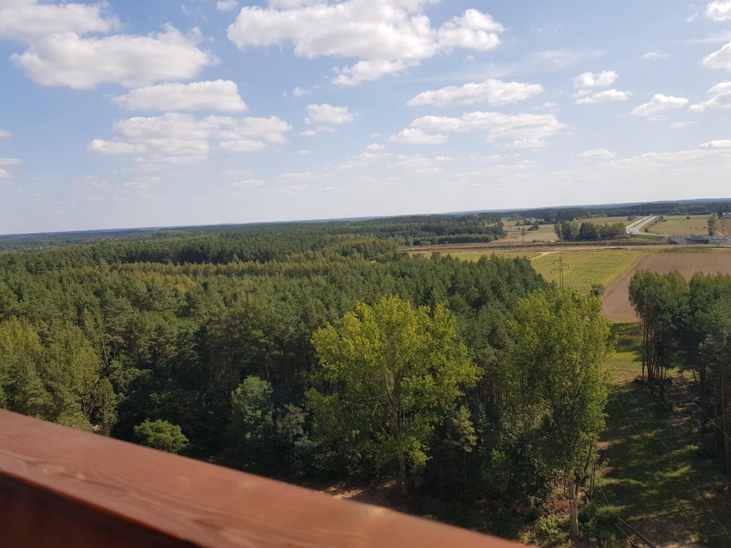 Wieża widokowa w Uhowie. To najwyższa wieża na Podlasiu [ZDJĘCIA]