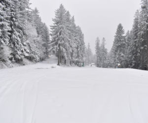 Winterpol Karpacz Biały Jar