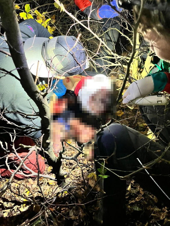 Słowacja. Niedźwiedź zaatakował biegacza. 38-latek ma obrażenia głowy, rąk i nóg 