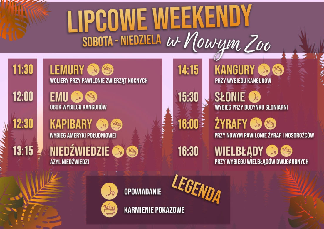 Wakacje w NOWYM ZOO