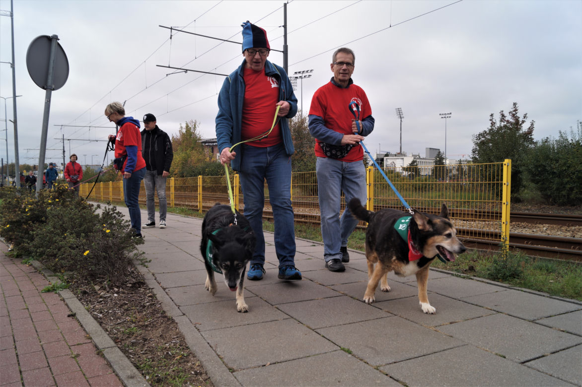 Parada Psów Adoptowanych w Bydgoszczy 2022 [ZDJĘCIA]