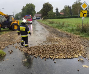 Co za STRATA! Kilka ton ziemniaków wysypało się na drogę! [ZDJĘCIA]