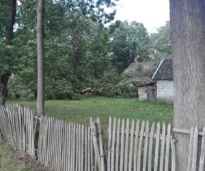 Powiśle. Halny łamał gigantyczne drzewa jak zapałki i przewracał je na samochody!
