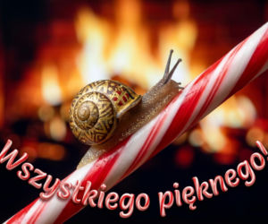 E-kartki na święta Bożego Narodzenia. Piękne grafiki do skopiowania i wysłania