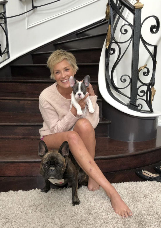 Sharon Stone rzuciła wyzwanie Pameli! 56-latka wygląda lepiej w TYM stroju?