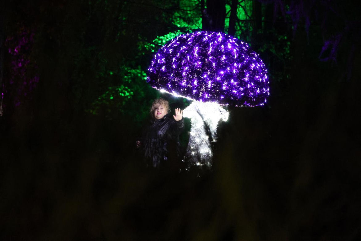 Park iluminacji 2023 w Lublinie