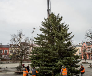 Gorlice: Na rynku już stoi choinka. Jest piękna. MUSISZ ją zobaczyć