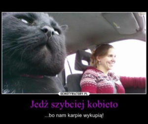 Święta Bożego Narodzenia. Te MEMY przed świętami rozbawią Was do łez! [MEMY]