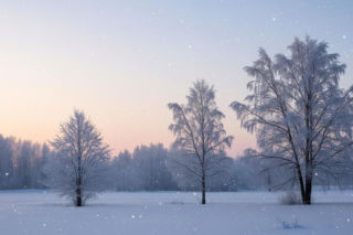 Prognoza pogody na Boże Narodzenie 2025. Eksperci IMGW mają zaskakujące dane?