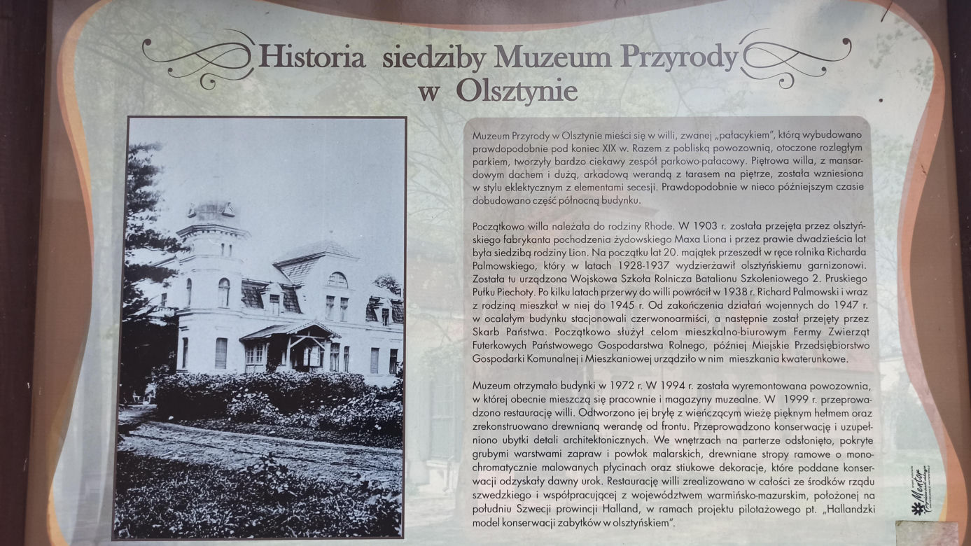 Muzeum Przyrody w Olsztynie. Poznajcie faunę oraz florę Warmii i Mazur