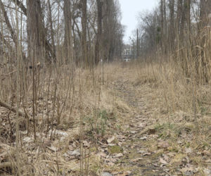 8 lat bez tramwajów na Babiej Wsi. Torowisko w ruinie!