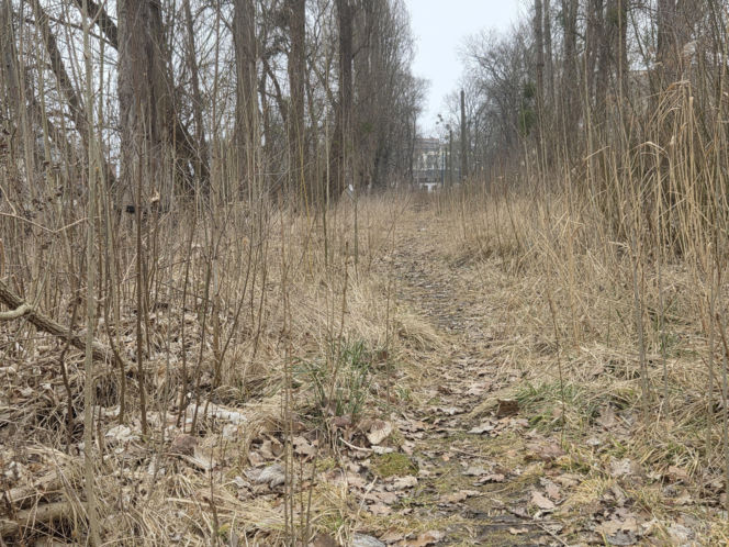 8 lat bez tramwajów na Babiej Wsi. Torowisko w ruinie!