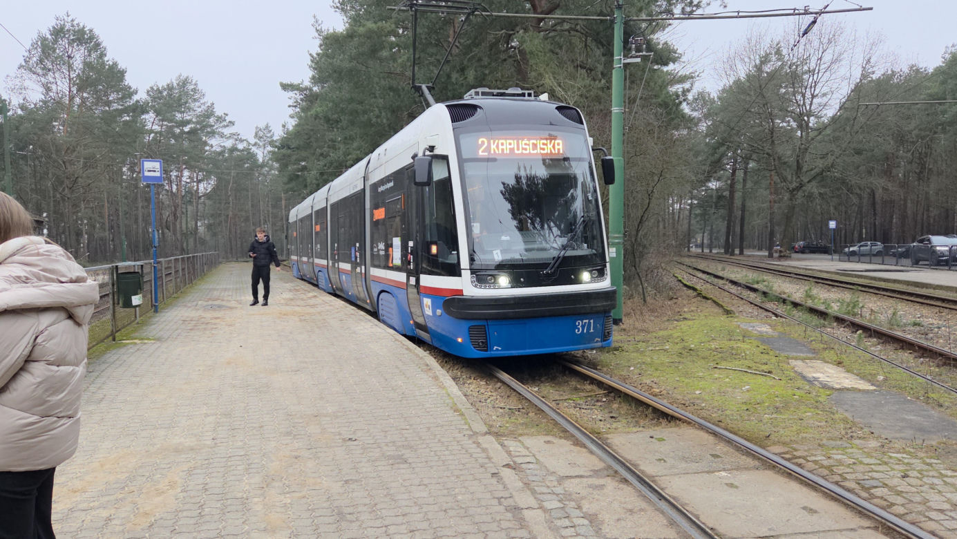 Przebudowa pętli Las Gdański ruszy w 2026 roku. Wycięto ponad 330 drzew!
