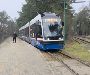 Przebudowa pętli Las Gdański ruszy w 2026 roku. Wycięto ponad 330 drzew!