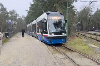 Przebudowa pętli Las Gdański ruszy w 2026 roku. Wycięto ponad 330 drzew!