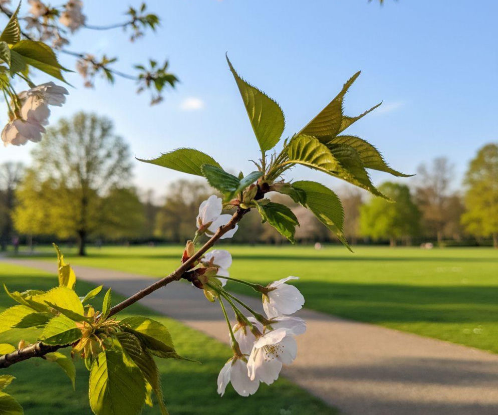 AI zdjęcie do artykułu