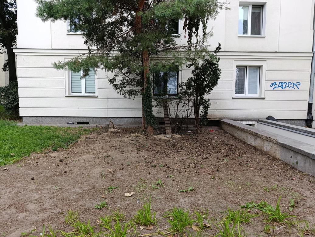  Żyją w symbiozie z gołębiami i kotami. Agresywne gryzonie opanowały blok w Warszawie