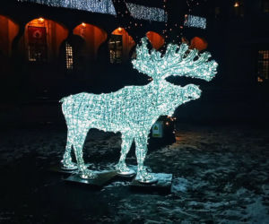 Iluminacje bożonarodzeniowe w Szczecinie