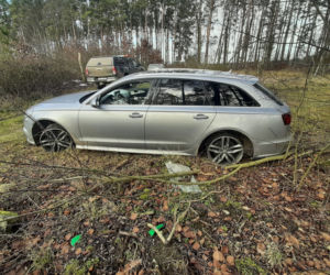 Audi za 200 000 zł porzucone w lesie