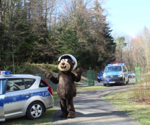 Na Podkarpaciu w Wielkanoc z policjatami wędrował miś. Miał wielką misję [WIDEO]